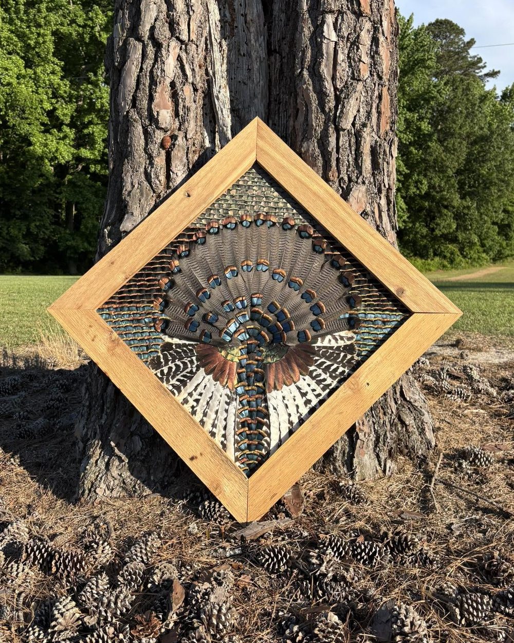 Diamond-framed Eastern turkey fan piece in a pine frame, leaning on a pine tree