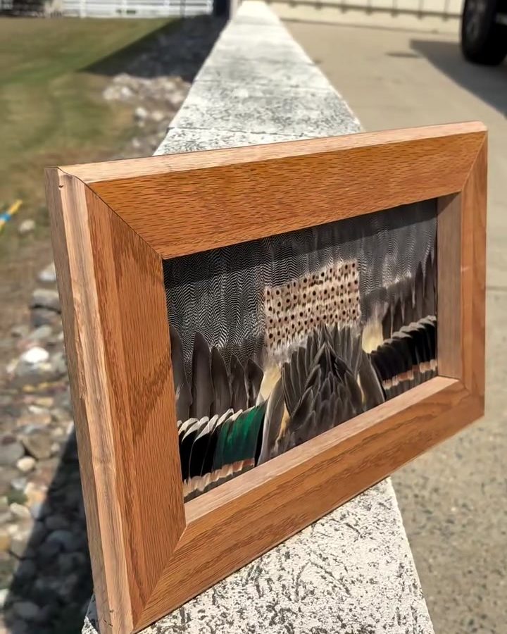 Green-winged teal open-wing piece in a cedar frame on a stone wall