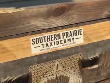 Southern Prairie Taxidermy sign on a weathered wood plank